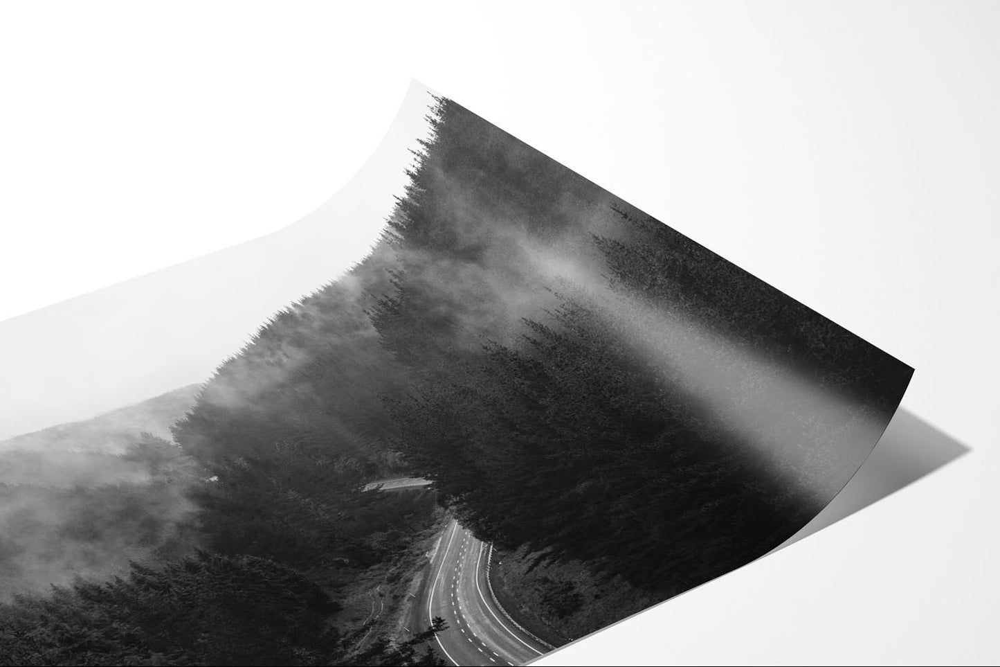 State Highway 1 Loose Print