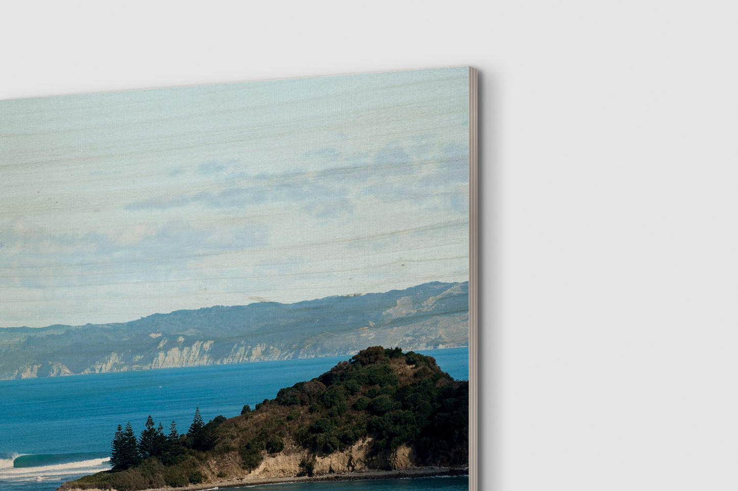 Surround Wood Print