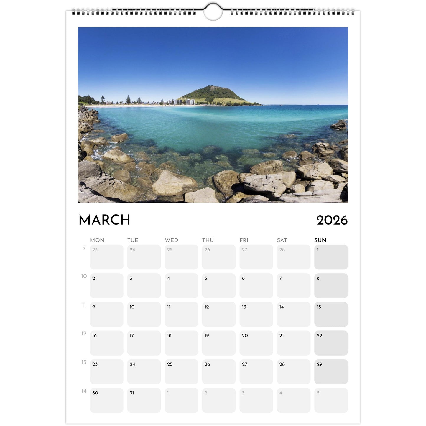 56b2ef0d-9e33-45c4-ae06-84ef6ce71f78