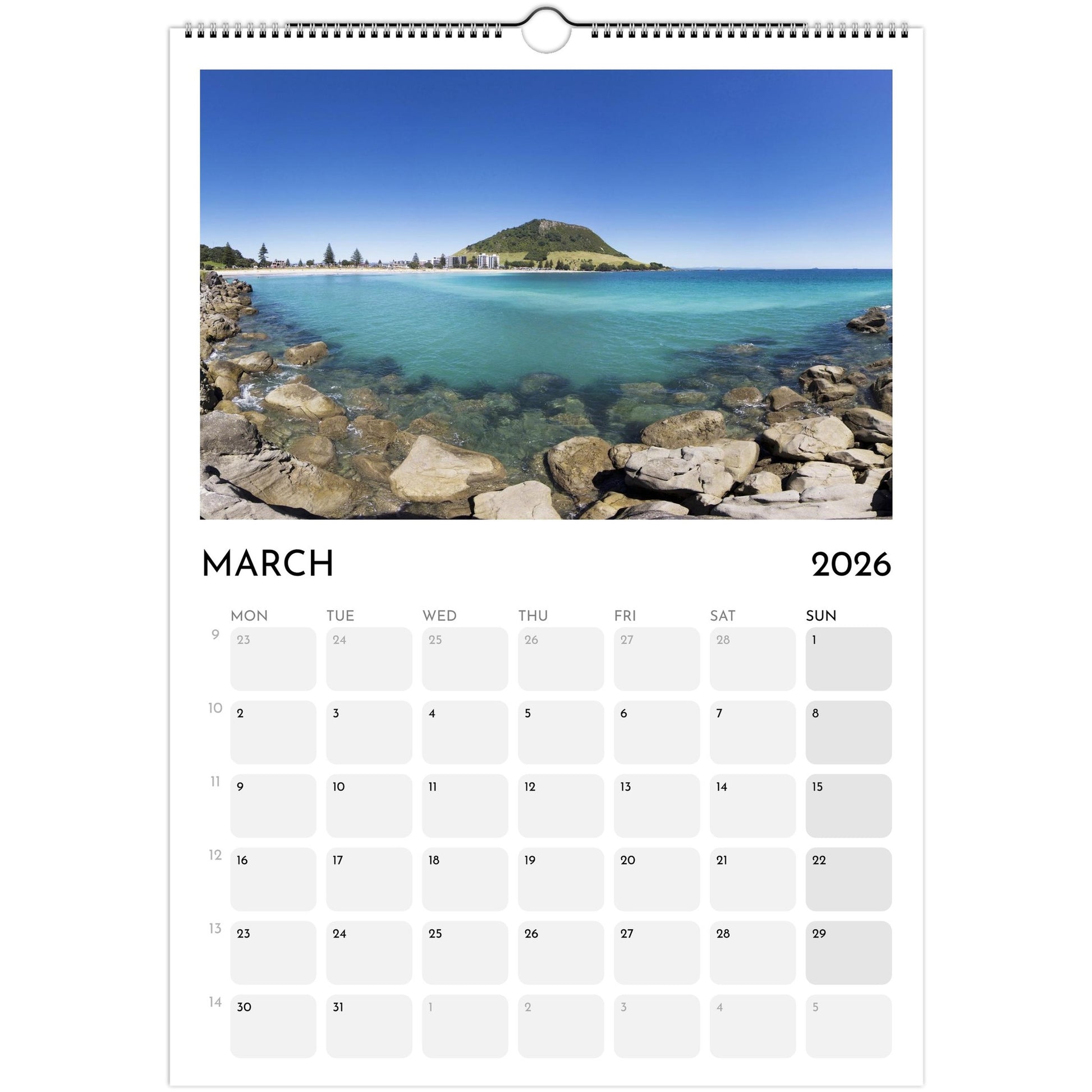 56b2ef0d-9e33-45c4-ae06-84ef6ce71f78