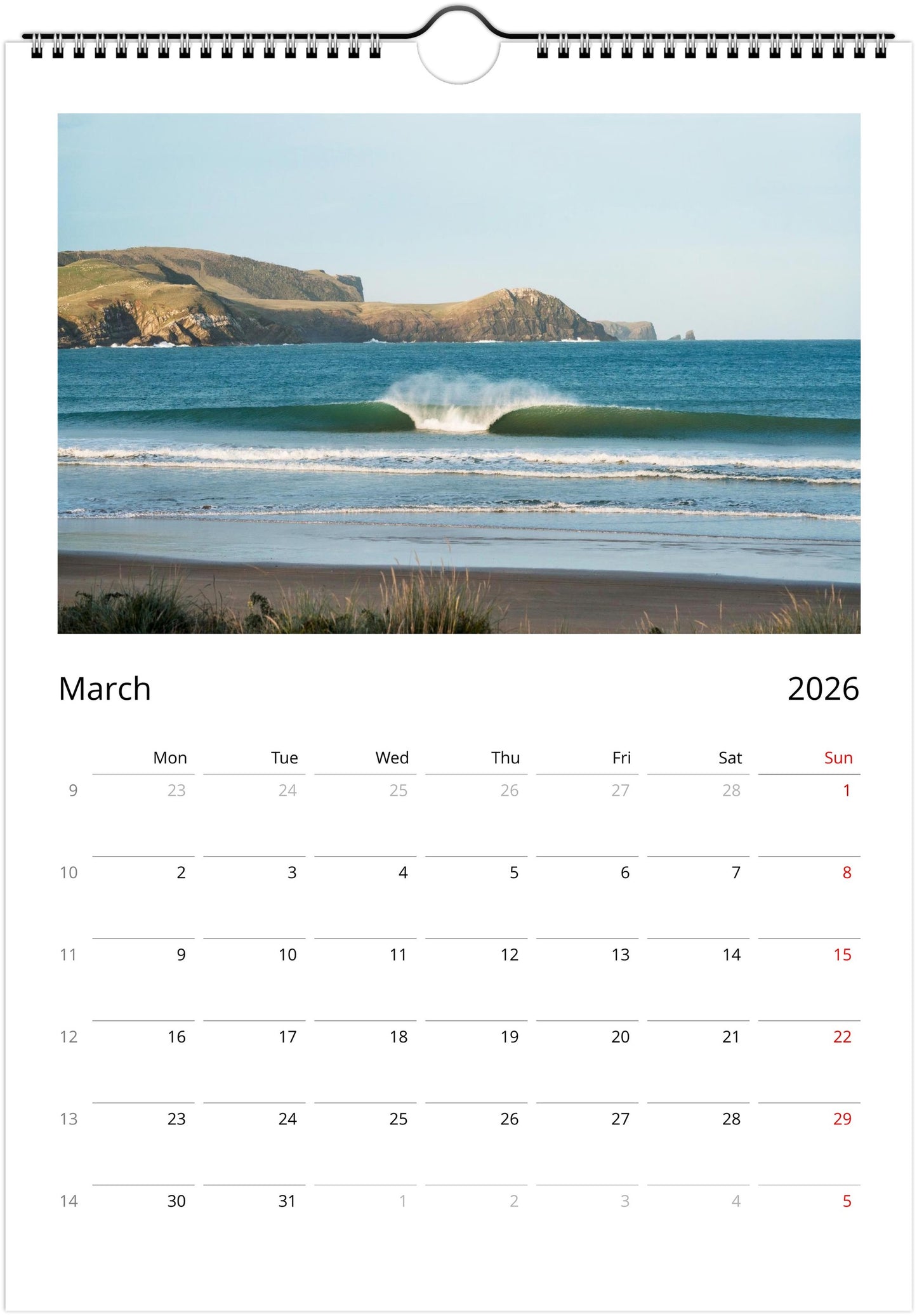 2026 Calendar - Aotearoa Line-ups