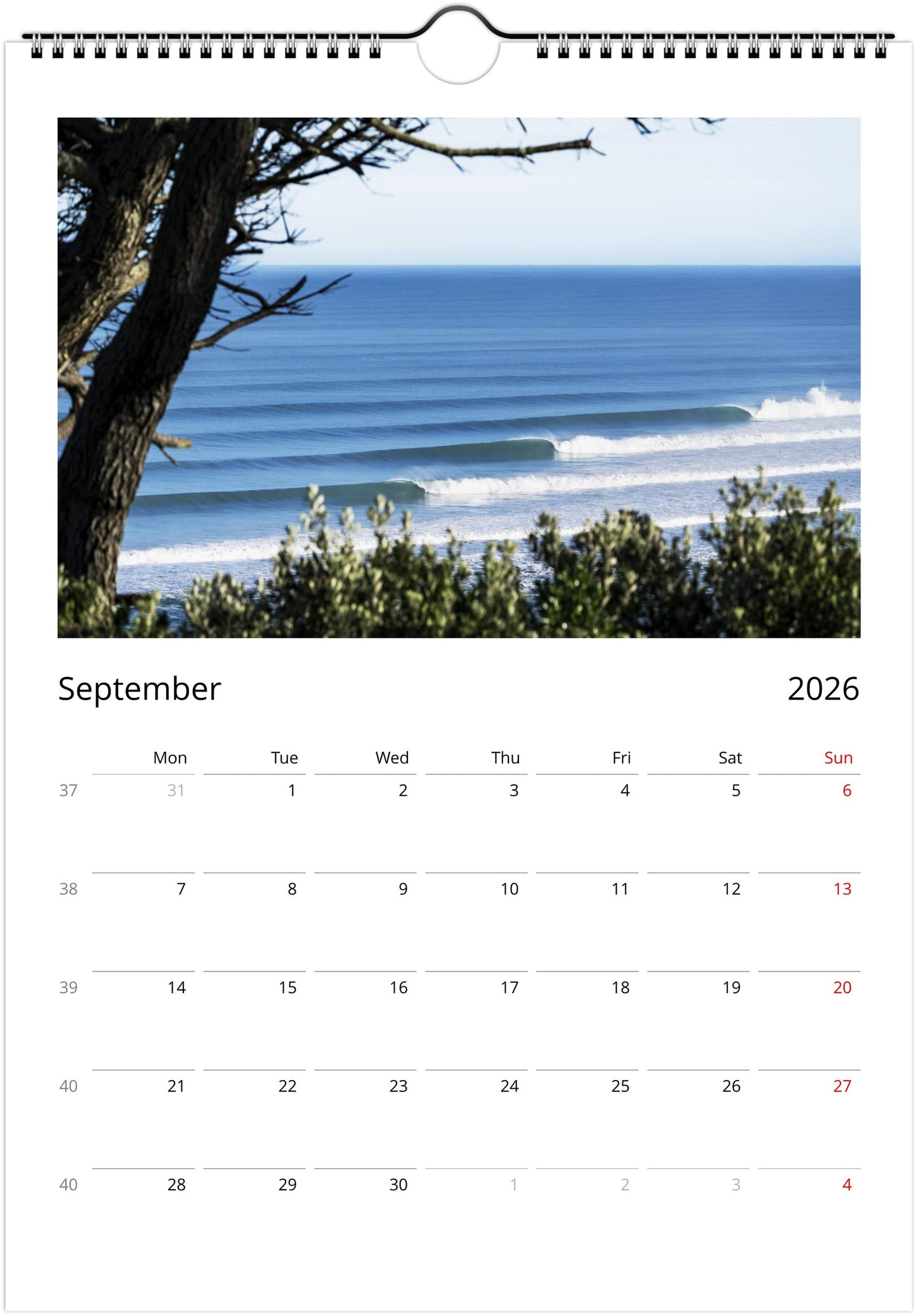 2026 Calendar - Aotearoa Line-ups